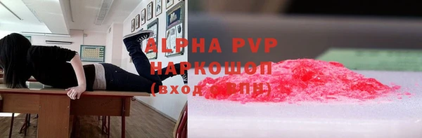 PSILOCYBIN Балабаново