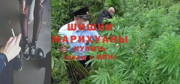 PSILOCYBIN Балабаново