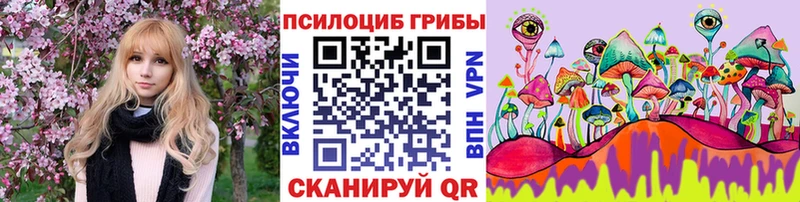 Псилоцибиновые грибы Psilocybine cubensis  Короча 
